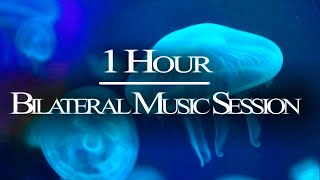 1 HR Bilateral Music Therapy  Relieve Stress Anxiety PTSD Nervousness  EMDR Brainspotting [upl. by Bart]