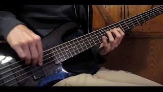 Infectious Grooves  Violent amp Funky Bass cover [upl. by Solitta]