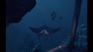 PlayStation VR Worlds PSVR2  Wildlife Tour Ocean Descent [upl. by Ailed204]