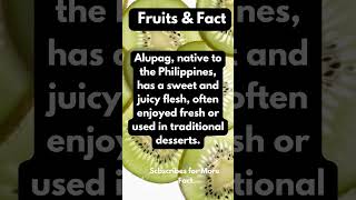 Alupag The LesserKnown Tropical Delight  Health Benefits amp Culinary Uses [upl. by Aserehc]