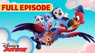 Youve Gotta Be Kitten Me 🐱Whale Hello There 🐳  S1 E1  Full Episode  TOTS  disneyjr [upl. by Sakhuja679]