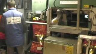 Potato and onion bagger  ProPak JNZK1 [upl. by Alyahc]