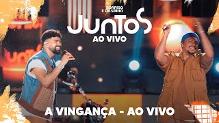 Sorriso Maroto Dilsinho  A Vingança Ao Vivo [upl. by Ailes290]