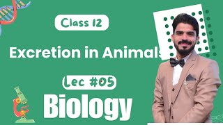 Excretion in Animals  Homeostasis  Chapter 15  Biology Class 12  Lecture05 [upl. by Wolfram]