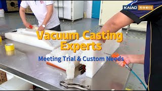 Vacuum Casting Experts For All Materials amp Shapes Meeting Trial amp Custom Needs [upl. by Tamsky]