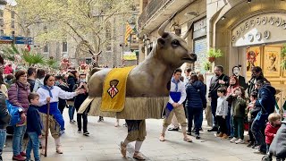 El Bou de l’Hospitalet La Mulassa Barna i el Bou petit Vic Barcelona Festes Sant Josep Oriol 2022 [upl. by Ettenav425]