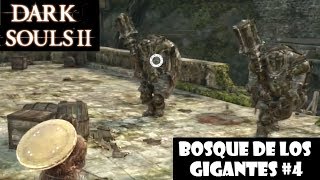 Dark Souls 2 guia BOSQUE DE LOS GIGANTES CAÍDOS 4  Zonas accesibles con llave soldado  Ep9 [upl. by Htebaras]