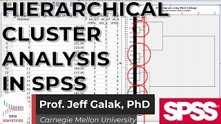 Hierarchical Cluster Analysis in SPSS SPSS Tutorial Video 29  Dendrogram [upl. by Havener]