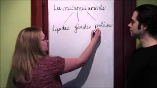 12 Biochimie  Intro aux macronutriments [upl. by Libbna]