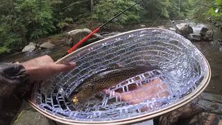 Trout Fishing in New Jersey South Branch Raritan River [upl. by Teodoor299]