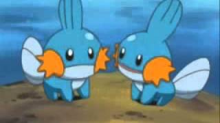 Mudkip 10 hours [upl. by Sontag693]