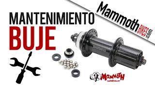 Cómo hacer el mantenimiento y ajuste de un Buje básico de Bicicleta [upl. by Matt98]