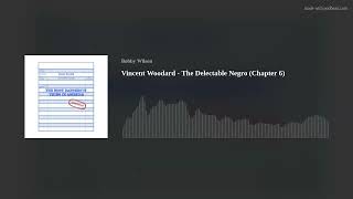 Vincent Woodard  The Delectable Negro Chapter 6 [upl. by Hplar]