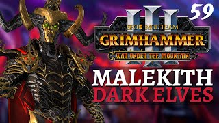 ENDGAME 25 ARMIES  SFO Immortal Empires  Total War Warhammer 3  Dark Elves  Malekith 59 [upl. by Anayi]