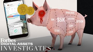 Investigating quotPig Butcheringquot Cryptos New LongGame Financial Con  Forbes Digital Assets [upl. by Ravahs599]