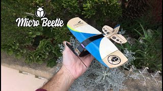 ONLY 9 inch Wings  Worlds Smallest 3CH Balsa Micro RC airplane [upl. by Jaunita]