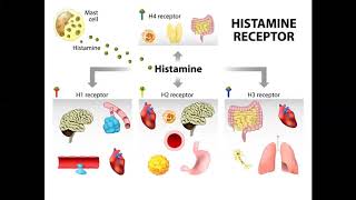 Managing histamine intolerance [upl. by Xet857]