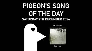 Re Stacks  Pigeons Song of the Day 07122024 [upl. by Aehtela]