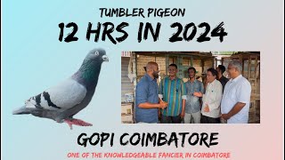 gopi Coimbatore 12 hrs  in 2024 one of the knowledgeable fancier [upl. by Monahan]