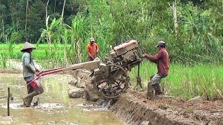 Mempersiakan lahan tanam padi Menggunakan Traktor Sawah [upl. by Hesoj]