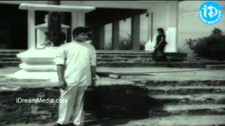 Vrepalle Vechenu Venuvu Vechenu Song  Sarada Movie Sharada Sobhan Babu Jayanthi [upl. by Ayom]