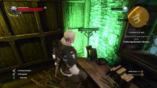 The Witcher 3  A Towerful of Mice Keira Chat quotFind Mage Alexanders Libraryquot Secret Door Location [upl. by Kareem]