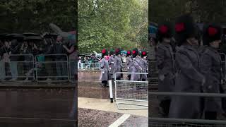 Band plays in the rain ColdstreamGuards grenadierguards shorts rain changingtheguard [upl. by Greta]