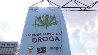 Milano alla fiera della canapa quotSe continuano gli insulti ce ne andiamo dallItaliaquot [upl. by Ayatnwahs]