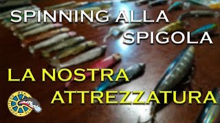 ATTREZZATURA PER LO SPINNING ALLA SPIGOLA TUTTO QUELLO CHE CI SERVE [upl. by Eyahsal]