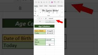 Age Calculator in excel part 01 [upl. by Yulma39]