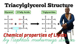 Chemistry of Lipids Triglycerides Structure  chemical properties of Lipids [upl. by Cusack]