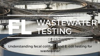 Understanding Fecal Coliforms and E coli Testing Methods for Wastewater in Florida [upl. by Aniral957]