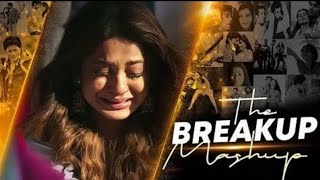 Sad Song 2024  Hindi Sad Songs Heart Touching Sad Songs Breakup Songs Sad Mashup Bollywood song [upl. by Annasor]