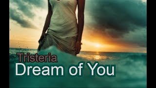 Tristeria  Dream of You Music video [upl. by Erreip]