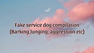 Fake service dog comp educational video between fake amp real service dogs [upl. by Anippesuig]