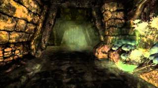 Amnesia  The Dark Descent  HD Walkthrough Part 10 Morgue amp Sewers [upl. by Hillary]