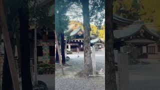 Buddist temple japan aichi ken ichinomiya shi [upl. by Burner269]