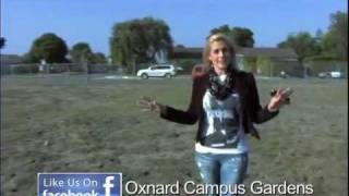 Oxnard Campus Park with Lea Baskas mov [upl. by Anneh]