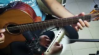 Afindafindrao Valiha amp Gitara By Tojo Guitariste [upl. by Agace40]