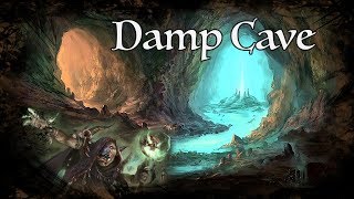 DampD Ambience  Damp Cave [upl. by Hsakaa531]