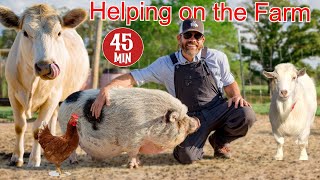 Helping a Farmer Feed and Care For His Animals Educational Farm Video For Kids [upl. by Riek]