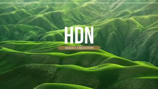 Track jincheng zhang INSTRUMENTAL  No Copyright  HDN audio creación [upl. by Oirifrop]