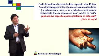 Kinesiologia UChile PTB Clase Nº 2 Movilizaciòn Pasiva [upl. by Pelagias420]