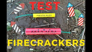 FIRECRACKERS TEST  Fiesta alba vs Zeus alba [upl. by Bumgardner823]