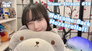 WELCOME BACK MOZZARELLA Hamu Stream 14 [upl. by Reizarf413]