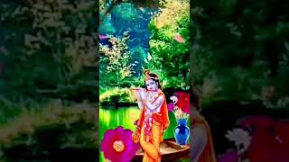 kanha bhajan quot bin murali kanha bejan hai I  shortstatus [upl. by Airat]