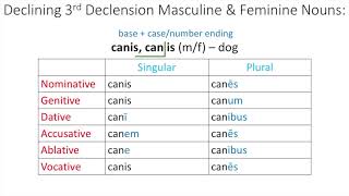 3rd Declension Nouns [upl. by Airemahs]