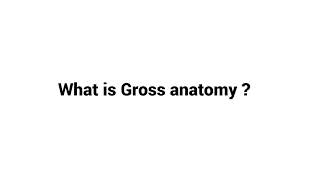 What is Gross anatomy [upl. by Llekim]