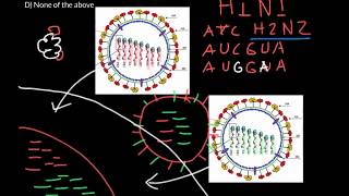 What is antigenic shift and drift [upl. by Vories]