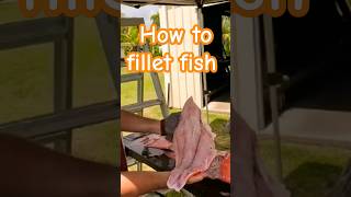 How to fillet fish [upl. by Goerke]